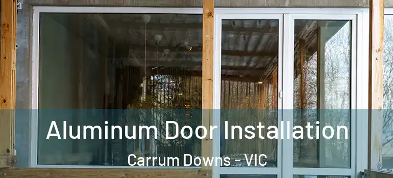 Aluminum Door Installation Carrum Downs - VIC