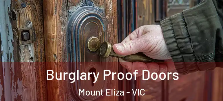 Burglary Proof Doors Mount Eliza - VIC