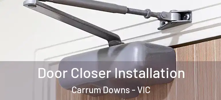 Door Closer Installation Carrum Downs - VIC