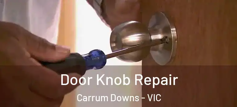 Door Knob Repair Carrum Downs - VIC