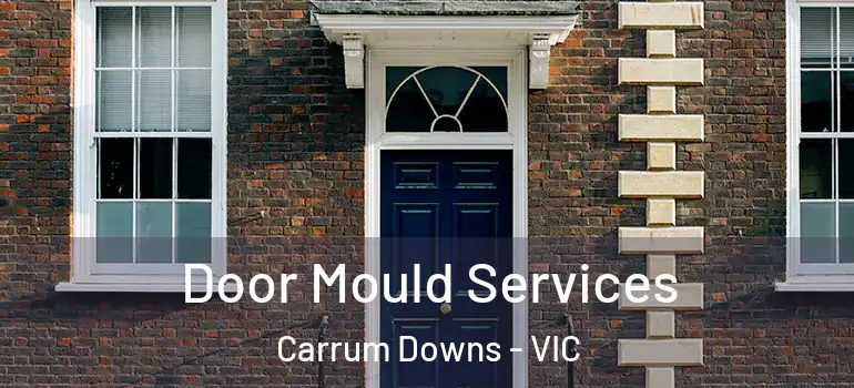 Door Mould Services Carrum Downs - VIC