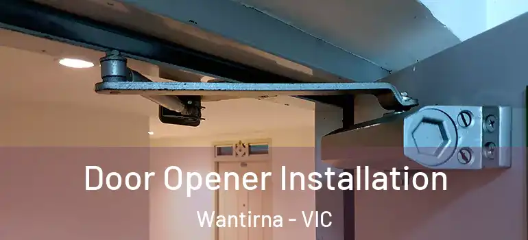 Door Opener Installation Wantirna - VIC