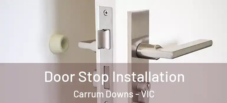 Door Stop Installation Carrum Downs - VIC