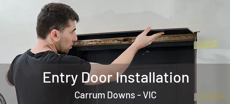 Entry Door Installation Carrum Downs - VIC