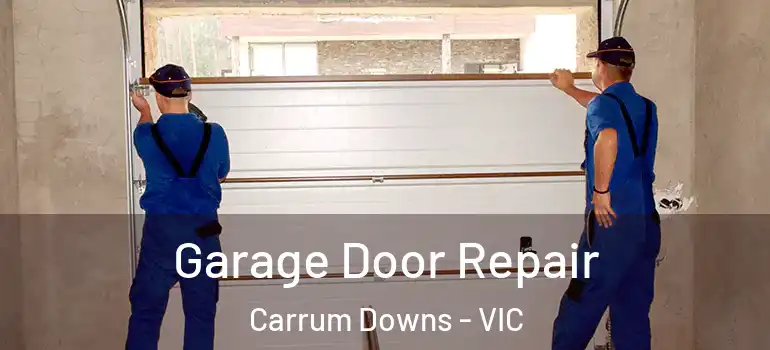 Garage Door Repair Carrum Downs - VIC