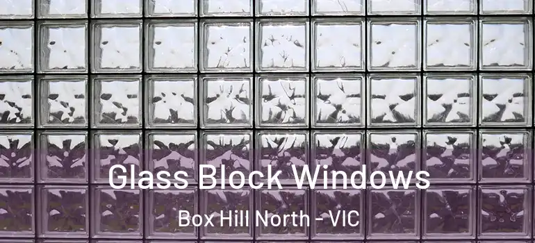  Glass Block Windows Box Hill North - VIC