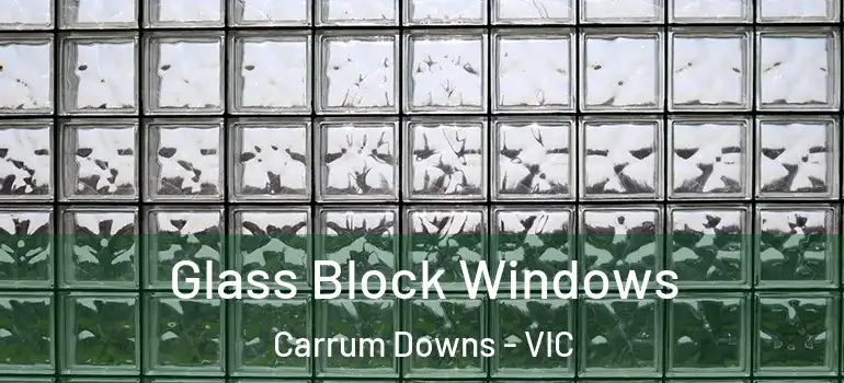  Glass Block Windows Carrum Downs - VIC