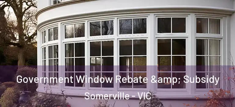 Government Window Rebate & Subsidy Somerville - VIC