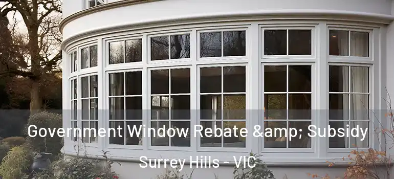 Government Window Rebate & Subsidy Surrey Hills - VIC