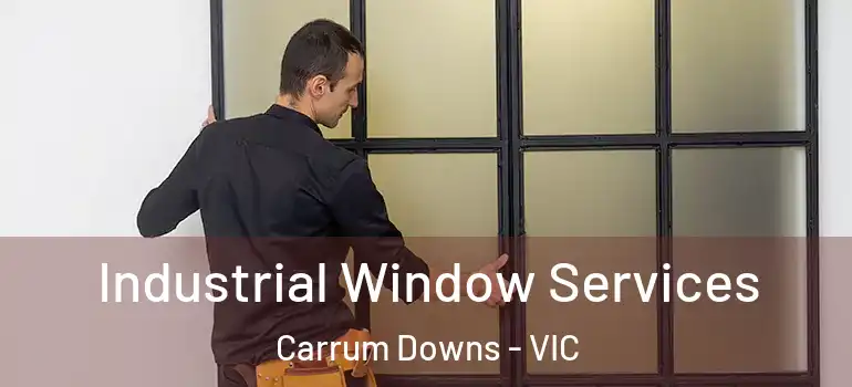 Industrial Window Services Carrum Downs - VIC