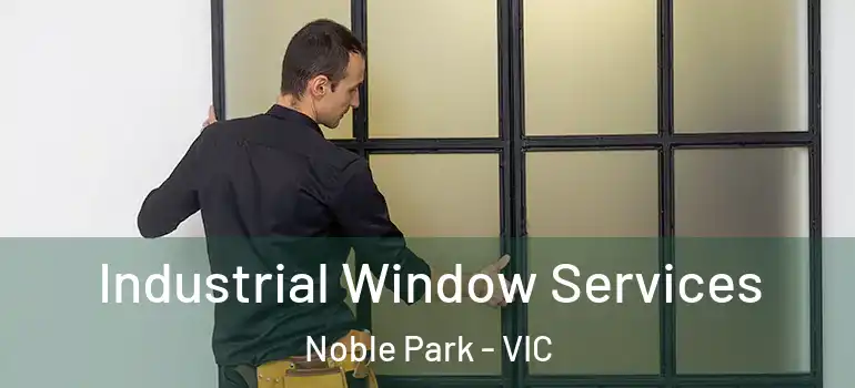 Industrial Window Services Noble Park - VIC