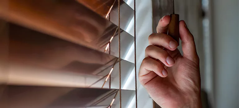 Double Roller Blinds in Melbourne, Victoria