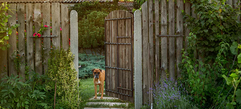 Winter Garden Garage Door Repair in Melbourne,Victoria