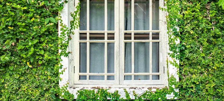 Garden Window Repair Near Me in Melbourne, VIC
