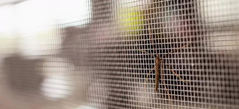 Repair Mosquito Mesh For Windows in Melbourne, Victoria
