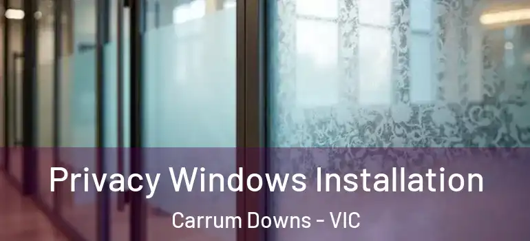 Privacy Windows Installation Carrum Downs - VIC