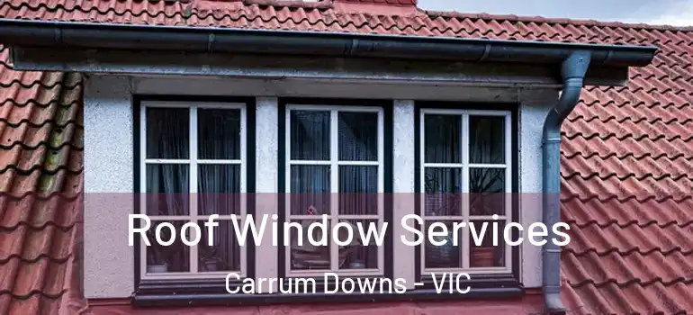  Roof Window Services Carrum Downs - VIC