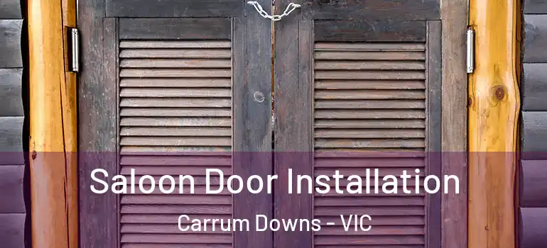 Saloon Door Installation Carrum Downs - VIC