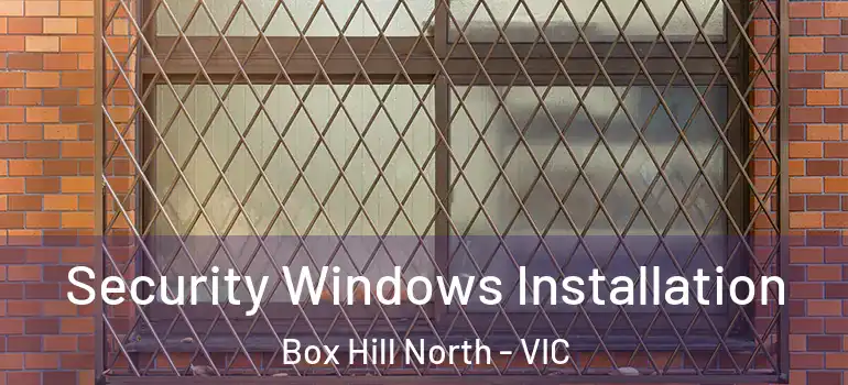 Security Windows Installation Box Hill North - VIC