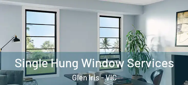  Single Hung Window Services Glen Iris - VIC