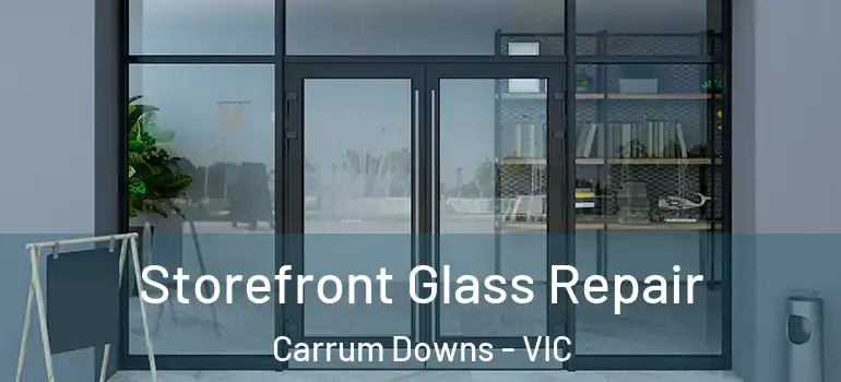 Storefront Glass Repair Carrum Downs - VIC