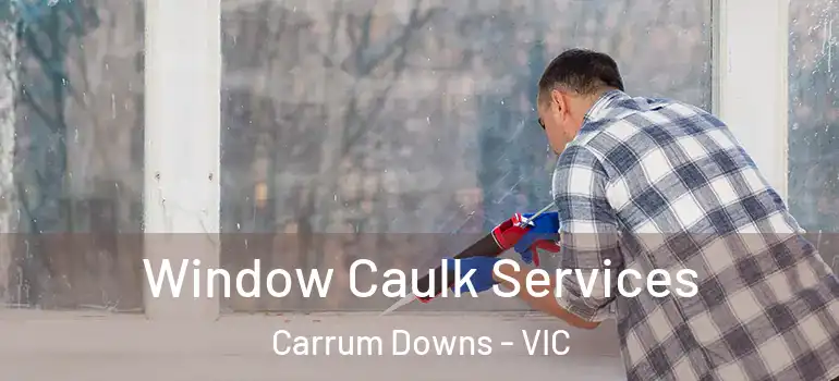  Window Caulk Services Carrum Downs - VIC