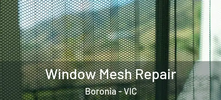  Window Mesh Repair Boronia - VIC