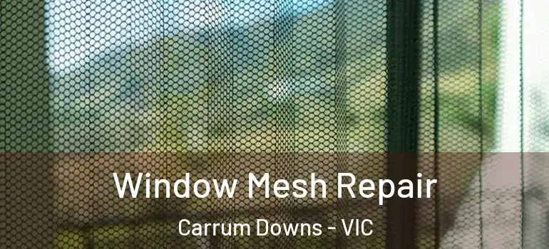 Window Mesh Repair Carrum Downs - VIC