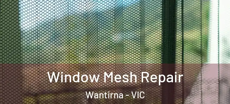 Window Mesh Repair Wantirna - VIC