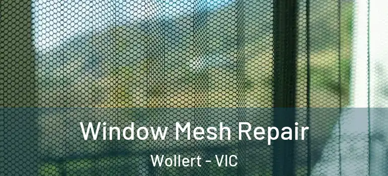 Window Mesh Repair Wollert - VIC