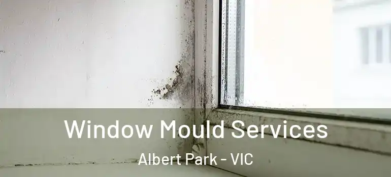 Window Mould Services Albert Park - VIC
