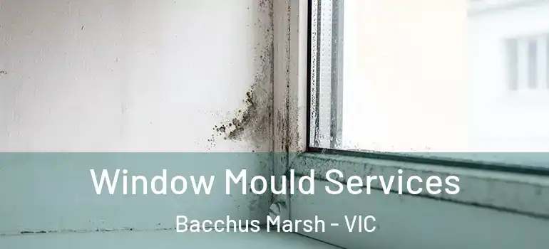  Window Mould Services Bacchus Marsh - VIC