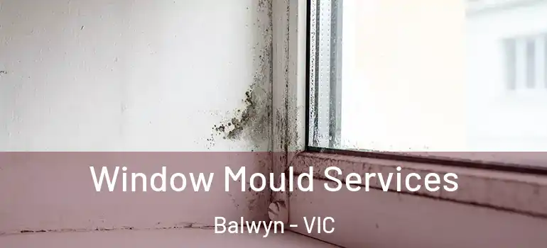 Window Mould Services Balwyn - VIC