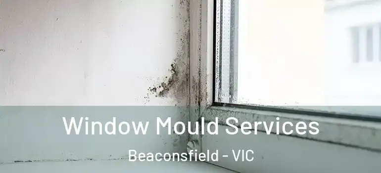  Window Mould Services Beaconsfield - VIC