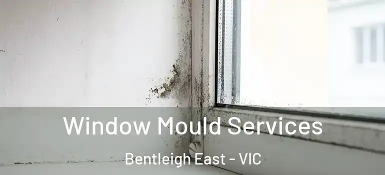Window Mould Services Bentleigh East - VIC