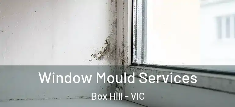 Window Mould Services Box Hill - VIC