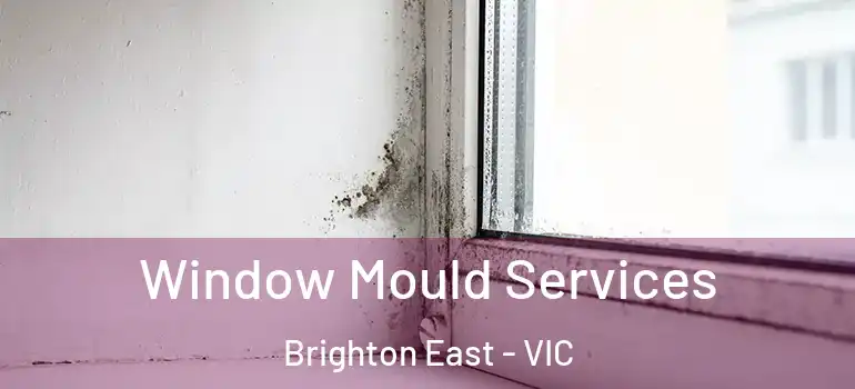 Window Mould Services Brighton East - VIC