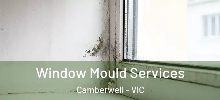 Window Mould Services Camberwell - VIC