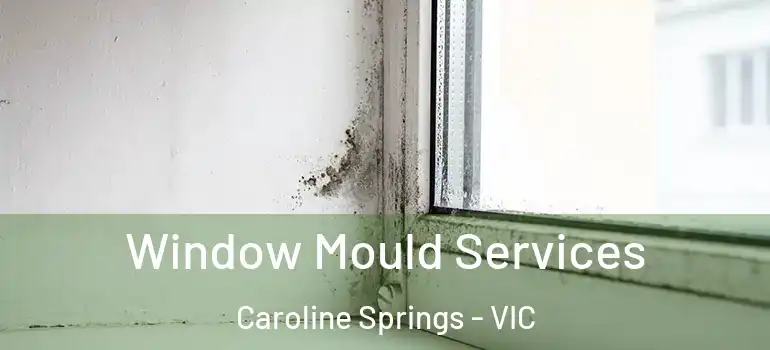 Window Mould Services Caroline Springs - VIC