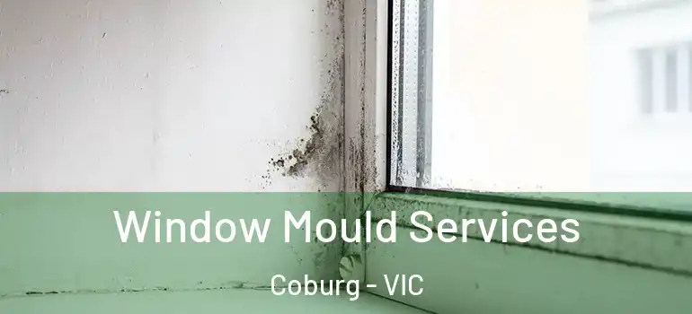  Window Mould Services Coburg - VIC