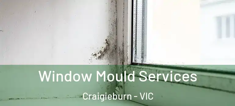  Window Mould Services Craigieburn - VIC