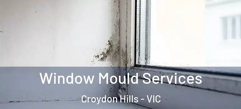  Window Mould Services Croydon Hills - VIC