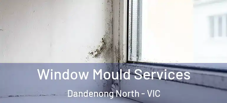  Window Mould Services Dandenong North - VIC