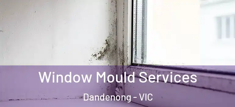  Window Mould Services Dandenong - VIC
