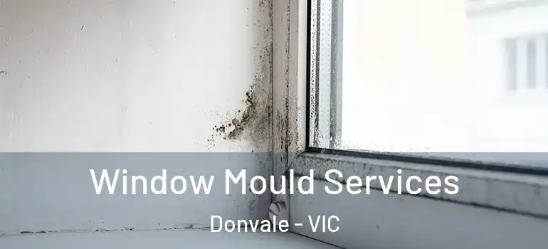 Window Mould Services Donvale - VIC