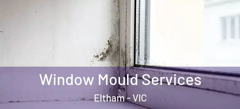  Window Mould Services Eltham - VIC