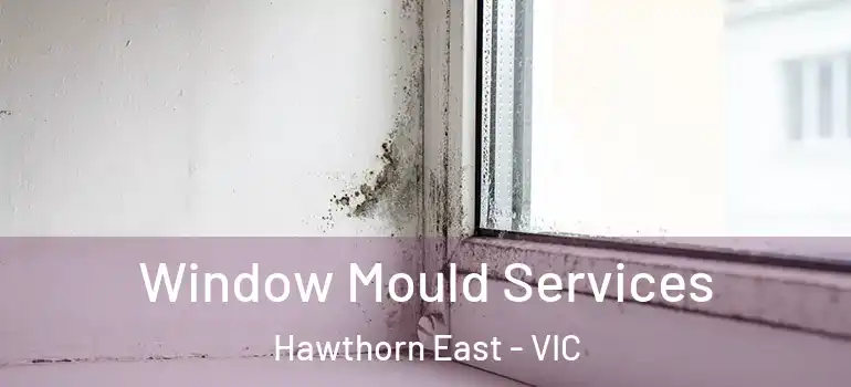 Window Mould Services Hawthorn East - VIC