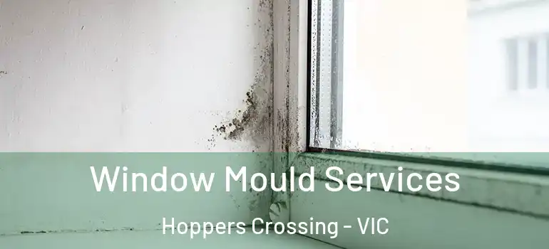 Window Mould Services Hoppers Crossing - VIC