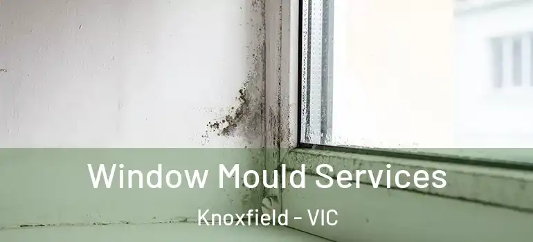 Window Mould Services Knoxfield - VIC