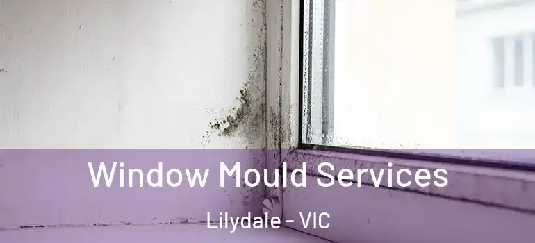 Window Mould Services Lilydale - VIC